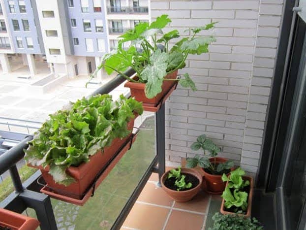 huerto urbano en balcon huerto urbano en balcon