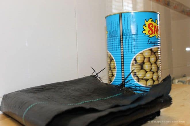 reciclar bote como maceta para fresas reciclar bote como maceta para fresas