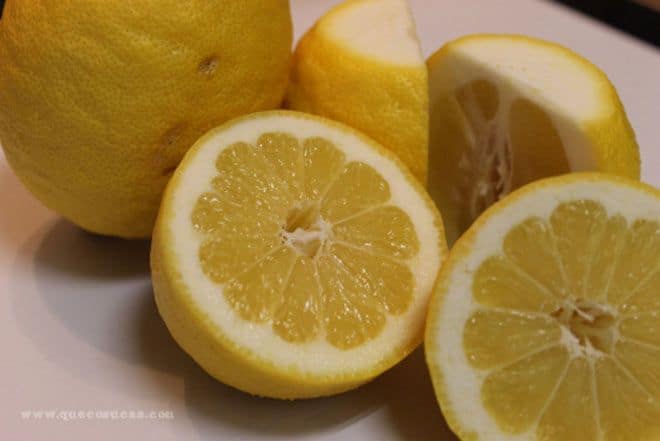 limones huerto urbano limones huerto urbano